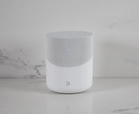 BLUESOUND PULSE M