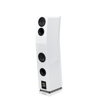 Stereoanlage 2.2: SVS Ultra Evolution Tower + 2 x SVS SB-3000 Subwoofer