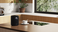 WiiM Sound Smart Speaker