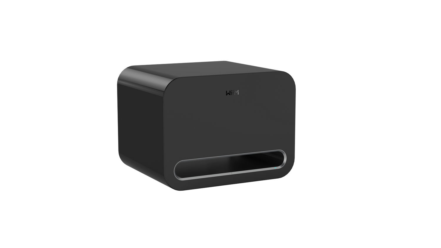 WiiM Sub Pro